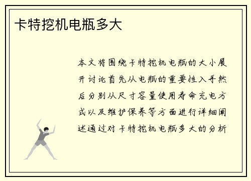 卡特挖机电瓶多大